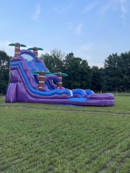 Purple Hurricane 22'