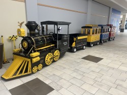 Trackless Train